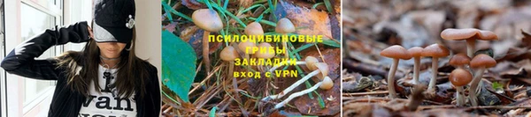 спайс Лабытнанги