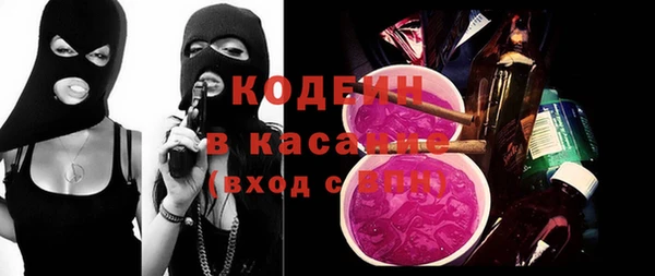шишки Великий Новгород