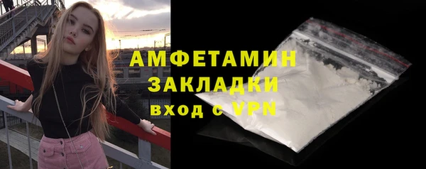 шишки Великий Новгород