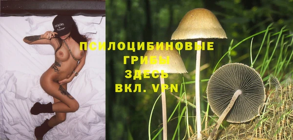 прущая мука Лагань