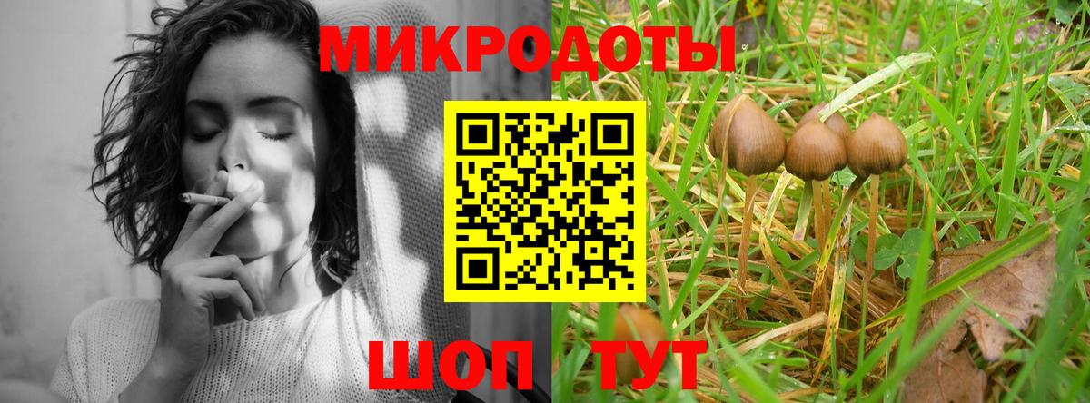 Псилоцибиновые грибы Cubensis  Галлюциногенные грибы Psilocybine cubensis  Новый Уренгой  Вход с VPN 